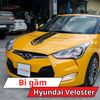 Bi Gầm Hyundai Veloster