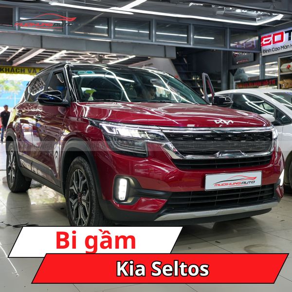 Bi Gầm Kia Seltos
