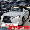 Bi Gầm Lexus IS250C