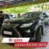 Bi Gầm Lexus RX350 2019