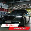 Bi Gầm Mazda CX8
