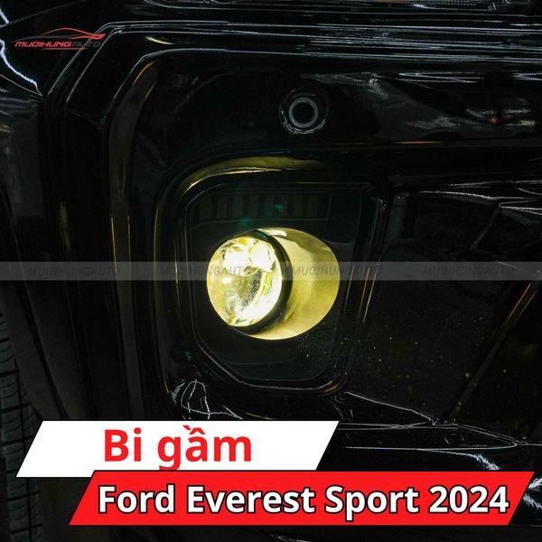 Bi Gầm Ford Everest Sport 2024