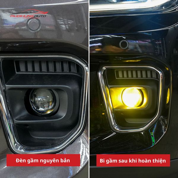 Bi Gầm Ford Everest