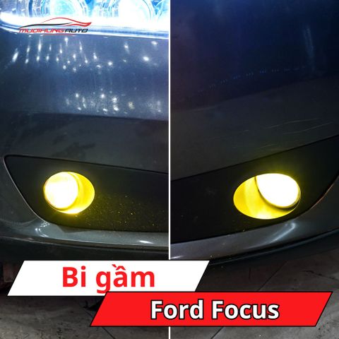 Bi gầm Ford Focus