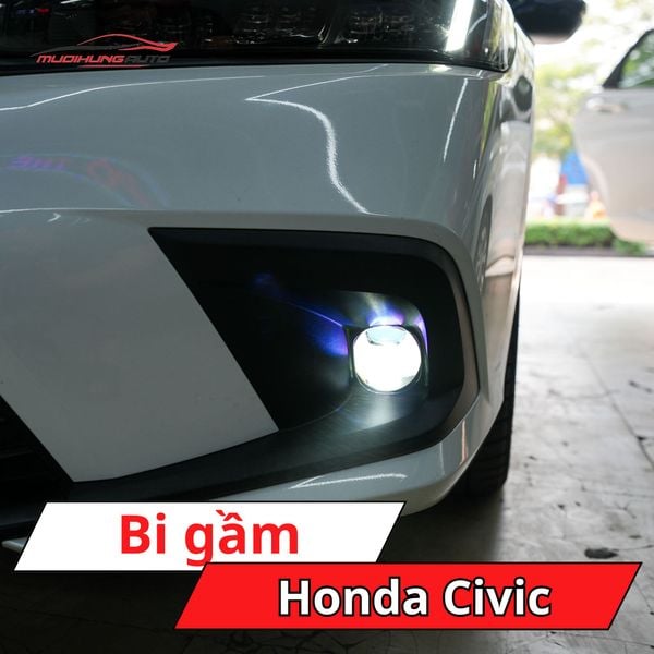 Bi Gầm Honda Civic