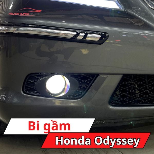 Bi Gầm Honda Odyssey