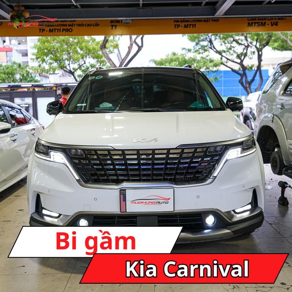 Bi Gầm Kia Carnival