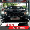 Bi Gầm Kia Sedona