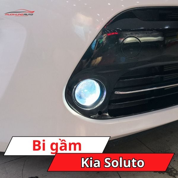 Bi Gầm Kia Soluto