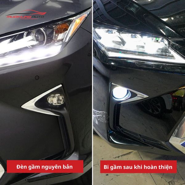 Bi Gầm Lexus RX350 2019