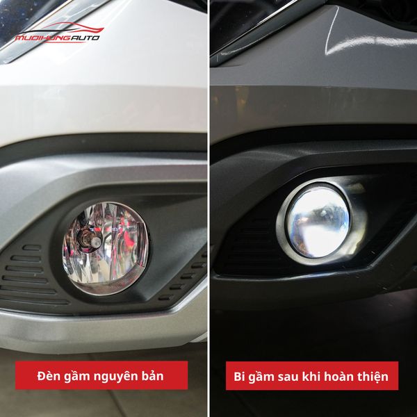 Bi Gầm Mitsubishi Xpander