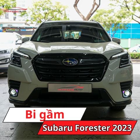 Bi gầm Subaru Forester 2023