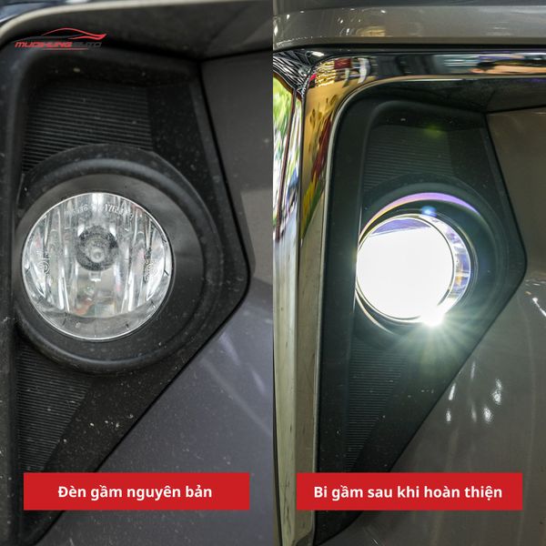 Bi Gầm Toyota Veloz