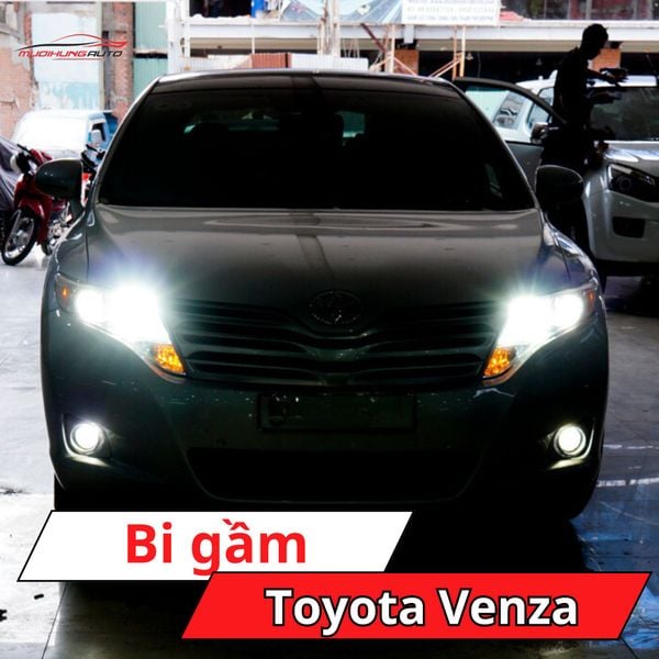 Bi Gầm Toyota Venza
