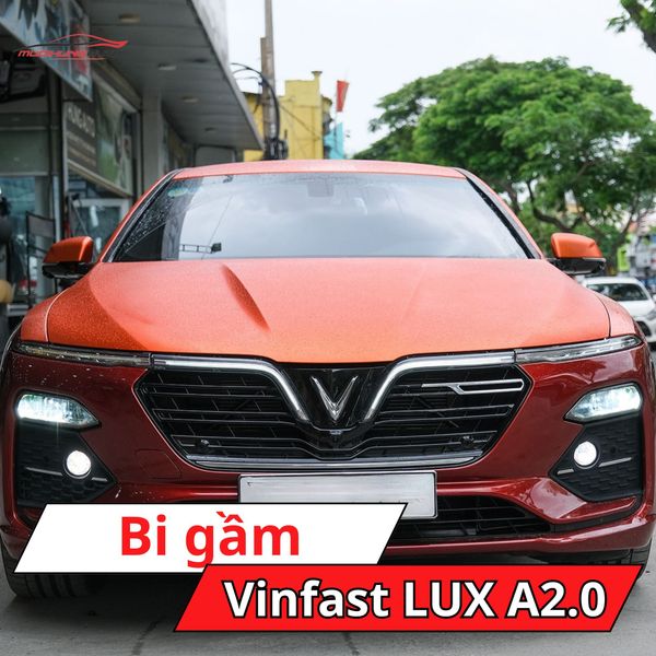 Bi Gầm Vinfast LUX A2.0