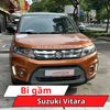 Bi Gầm Suzuki Vitara
