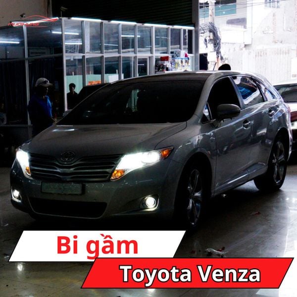 Bi Gầm Toyota Venza