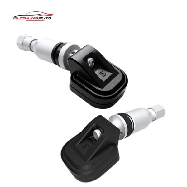 Cảm Biến Áp Suất Lốp Vietmap BT10 Van Trong