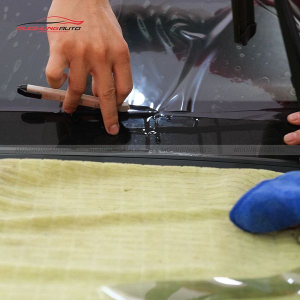 Dán Phim Cách Nhiệt 3M Ô Tô Subaru Forester 2019