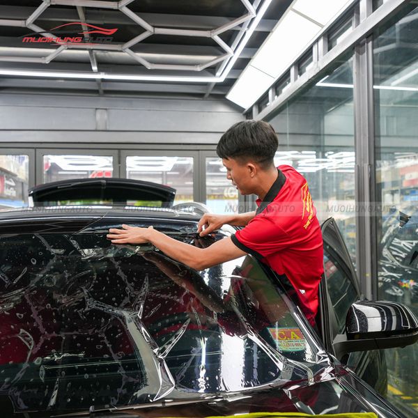 Dán Phim Cách Nhiệt 3M Ô Tô Volkswagen Teramont 2024
