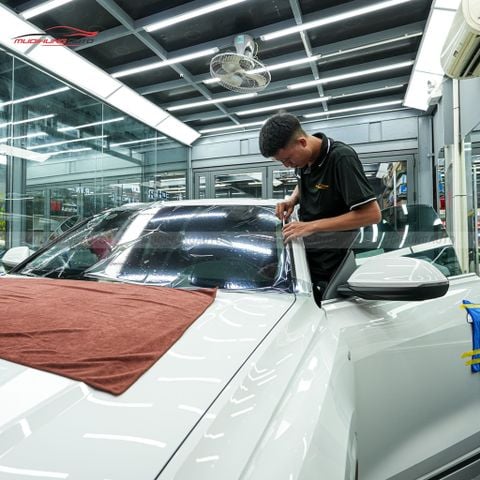 Dán phim cách nhiệt 3M ô tô Audi Q8