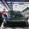 Dán Phim Cách Nhiệt 3M Ô Tô Ford Transit 2024