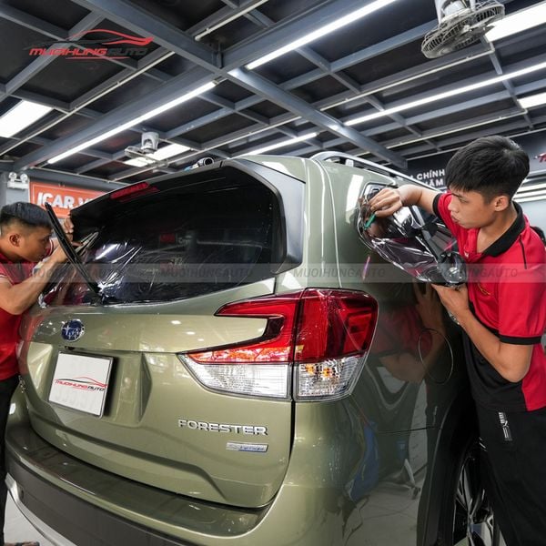 Dán Phim Cách Nhiệt 3M Ô Tô Subaru Forester 2022