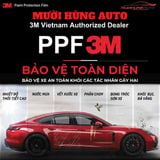 Dán PPF 3M Ô Tô 4 Chỗ