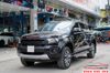 Dán Tem Hông Xe Ford Ranger 2019