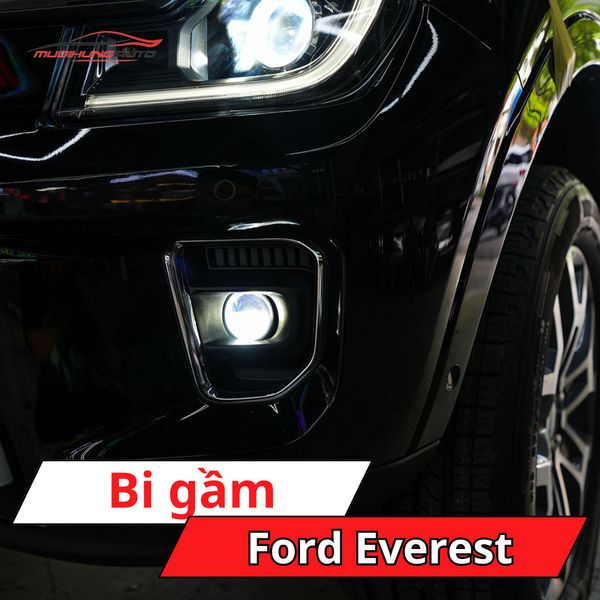 Bi Gầm Ford Everest