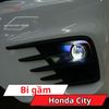 Bi Gầm Honda City