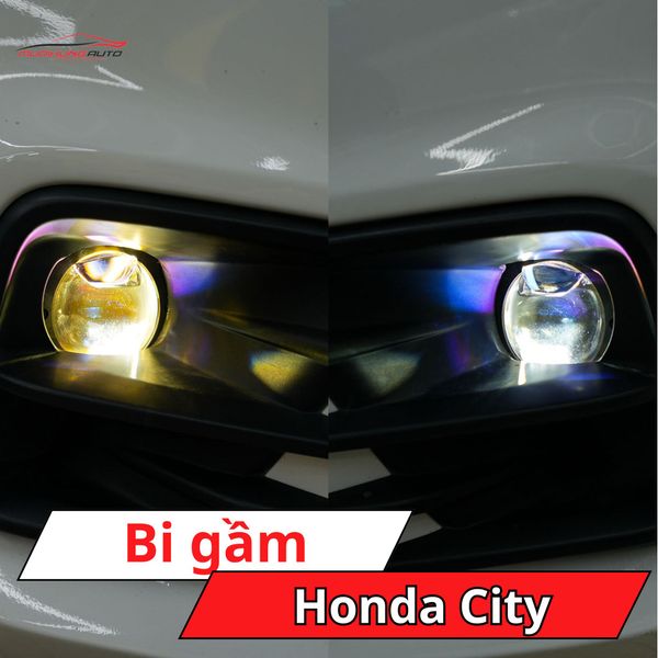 Bi Gầm Honda City