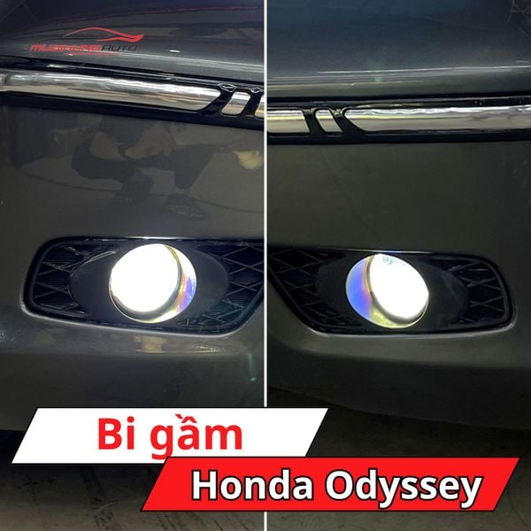 Bi Gầm Honda Odyssey