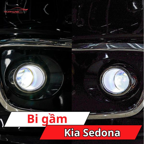 Bi Gầm Kia Sedona