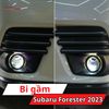 Bi Gầm Subaru Forester 2023