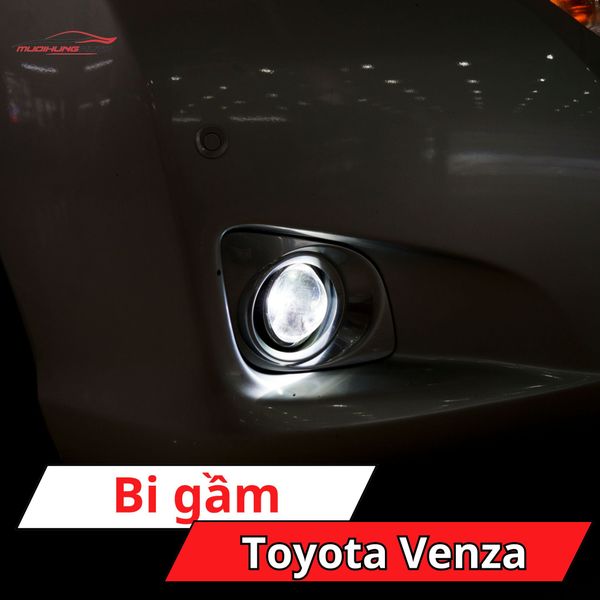 Bi Gầm Toyota Venza