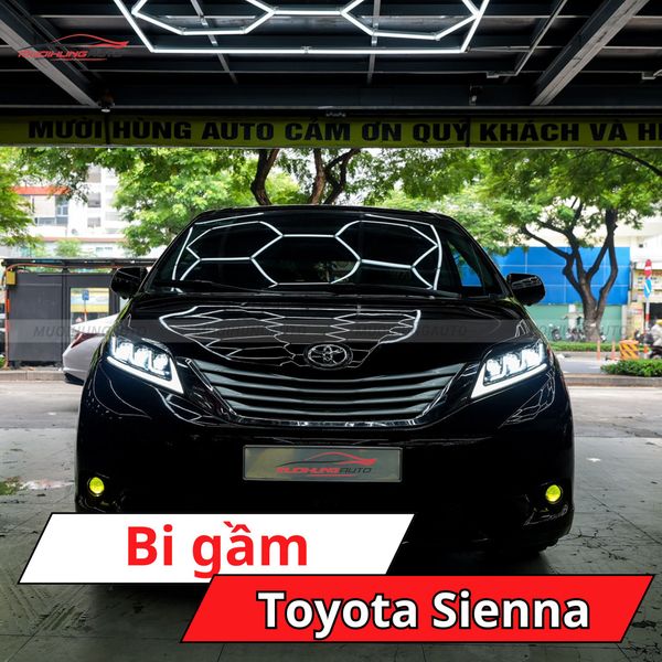 Bi Gầm Toyota Sienna