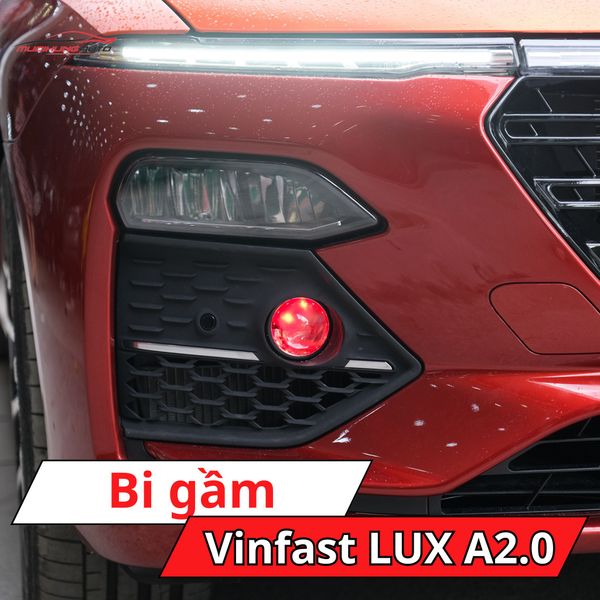 Bi Gầm Vinfast LUX A2.0