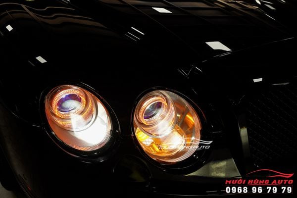 Bộ 4 Bi LED Laser Domax Omega Tăng Sáng Cực Đỉnh Cho Xe Bentley