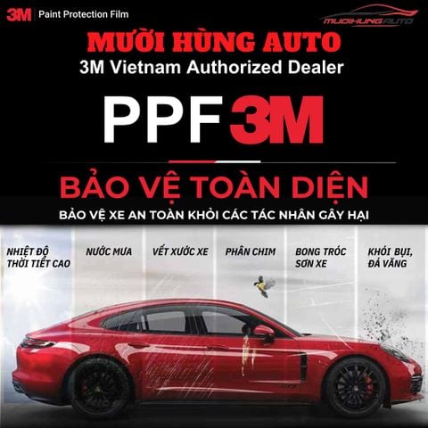 dán PPF 3M xe ô tô 7 chỗ