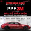 Dán PPF 3M Ô Tô 7 Chỗ
