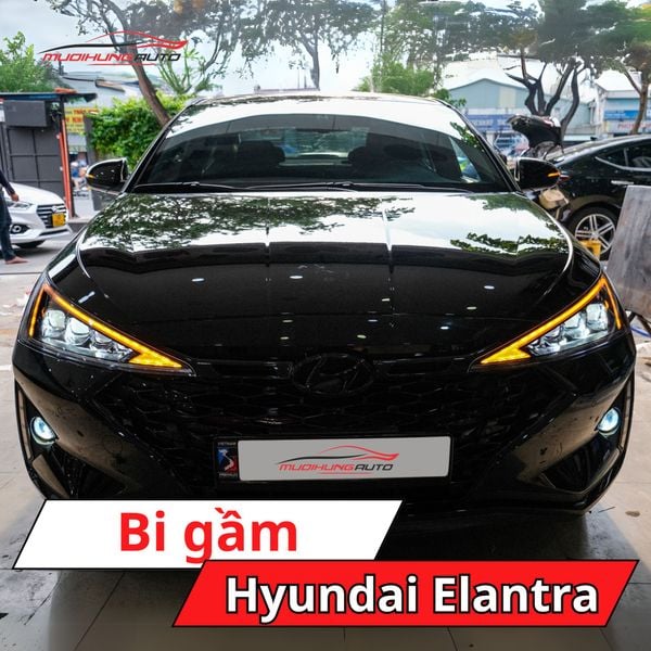 Bi Gầm Hyundai Elantra