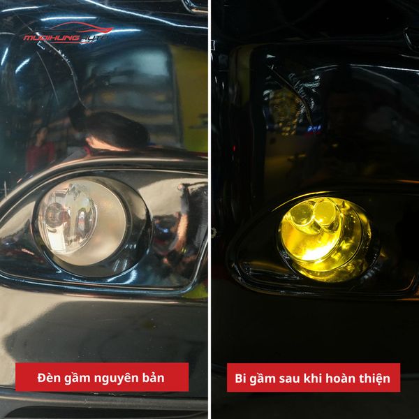 Bi Gầm Lexus RX350 2010