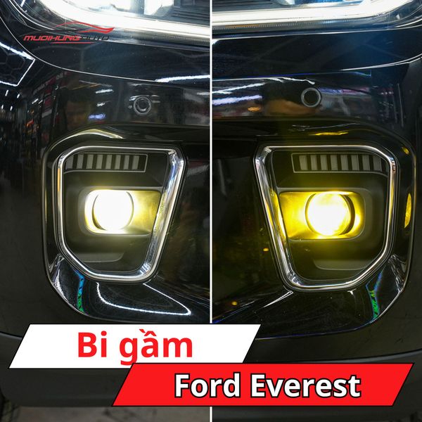 Bi Gầm Ford Everest