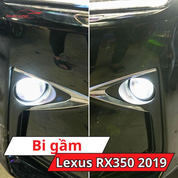 Bi Gầm Lexus RX350 2019