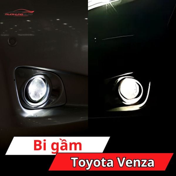 Bi Gầm Toyota Venza