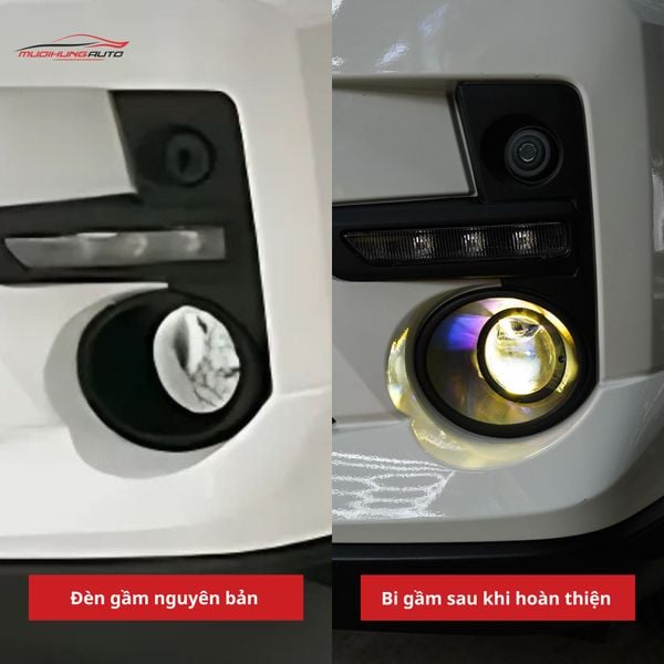 Bi Gầm Toyota Raize