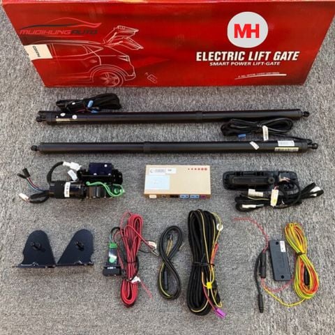 Độ cốp điện ô tô BYD Dolphin