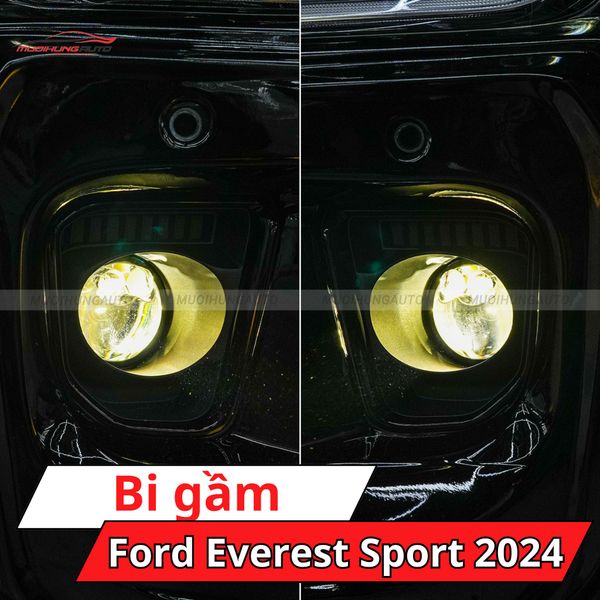 Bi Gầm Ford Everest Sport 2024