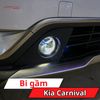 Bi Gầm Kia Carnival